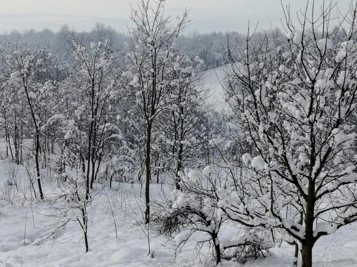 Complex Transalpina Ξενοδοχείο Aninisu din Vale Εξωτερικό φωτογραφία